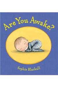 Are You Awake?: A Picture Book