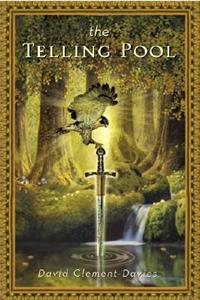 The Telling Pool
