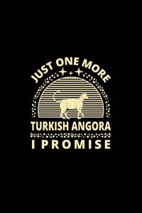 Just One More Turkish Angora I Promise
