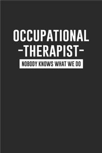 Occupational Therapist