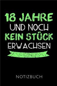 18 Jahre Notizbuch