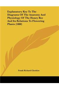 Explanatory Key To The Diagrams Of The Anatomy And Physiology Of The Honey Bee And Its Relations To Flowering Plants (1880)