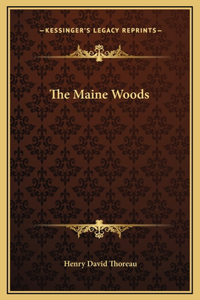 Maine Woods