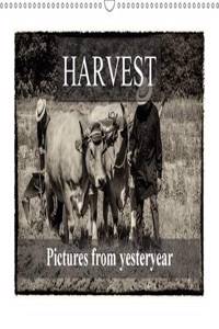 Harvest, Pictures from Yesteryear 2017