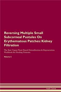 Reversing Multiple Small Subcorneal Pustules On Erythematous Patches: Kidney Filtration The Raw Vegan Plant-Based Detoxification & Regeneration Workbook for Healing Patients. Volume 5