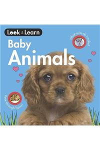Baby Animals Board Book