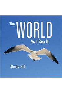 The World As I See It