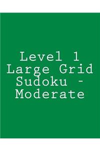 Level 1 Large Grid Sudoku - Moderate