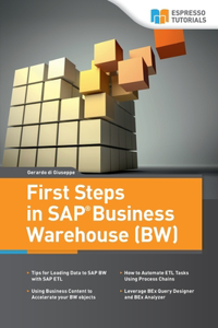 First Steps in SAP Business Warehouse (BW)