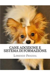 Cane Adozione E Sistema Di Formazione