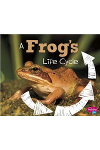 Frog's Life Cycle