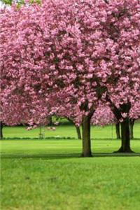 Mind Blowing Cherry Field 200 page lined journal