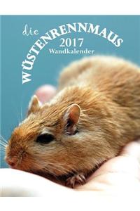 Die Wustenrennmaus 2017 Wandkalender (Ausgabe Deutschland)