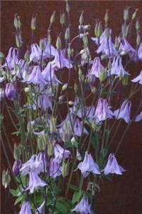 Columbines Flower Journal