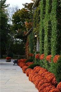 Orange Mums in an Autumn Landscape