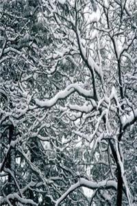 Journal Twisted Winter Branches With Snow