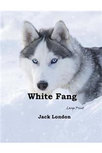 White Fang