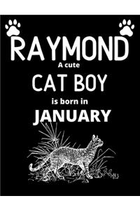 RAYMOND a cute cat boy is born in January