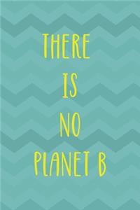 There Is No Planet B