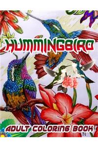 Hummingbird Adult Coloring Book