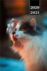 Butterfly Butterflies Insect Week Planner Weekly Organizer Calendar 2020 / 2021 - Sitting on a Cat