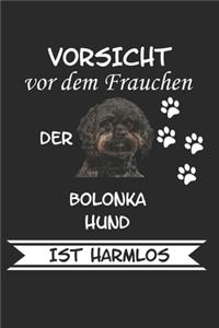 Vorsicht vor dem Frauchen der Bolonka Hund ist Harmlos