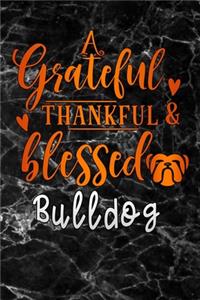grateful thankful & blessed bulldog