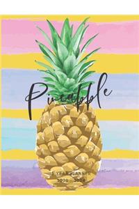 2020-2024 Five Year Planner Monthly Calendar Pineapple Goals Agenda Schedule Organizer