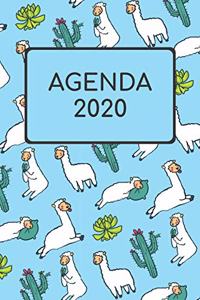 Agenda 2020: Semana Vista 2020 I Diario Organizador Calendario De Bolsillo I Notebook Cuaderno Libreta A5 120 Páginas I Planificador 2023