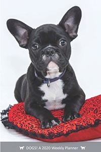 DOGS! A 2020 Weekly Calendar