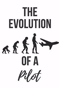 The evolution of a pilot - Notebook