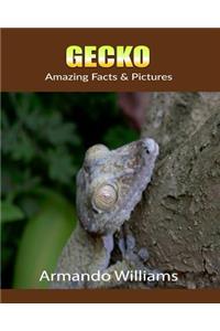 Gecko: Amazing Facts & Pictures