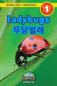 Ladybugs / 무당벌레