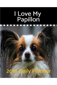 I Love My Papillon
