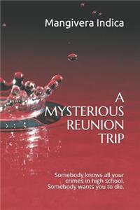 A Mysterious Reunion Trip