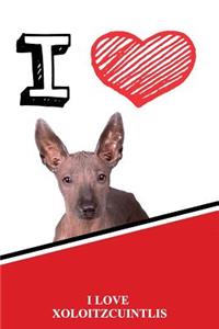 I Love Xoloitzcuintlis