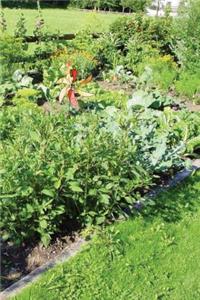 Gardening Log Book - The Allotment
