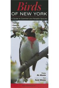 Birds of New York