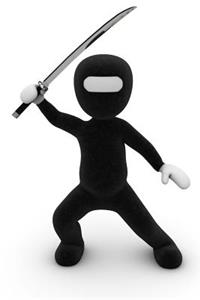 Cool Ninja Journal