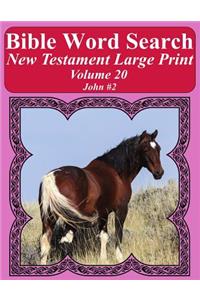 Bible Word Search New Testament Large Print Volume 20