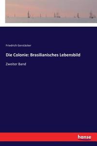 Colonie: Brasilianisches Lebensbild: Zweiter Band