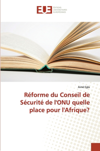 Réforme du conseil de sécurité de l'onu quelle place pour l'afrique?