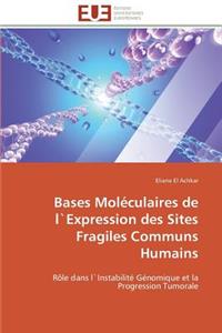 Bases Mol�culaires de L`expression Des Sites Fragiles Communs Humains