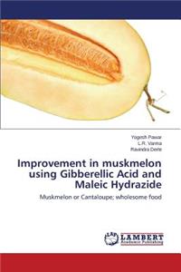 Improvement in Muskmelon Using Gibberellic Acid and Maleic Hydrazide