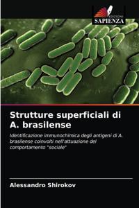 Strutture superficiali di A. brasilense