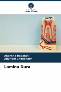 Lamina Dura