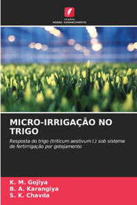 Micro-Irrigação No Trigo