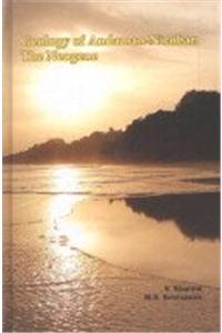 Geology of Andaman-Nicobar: The Neogene