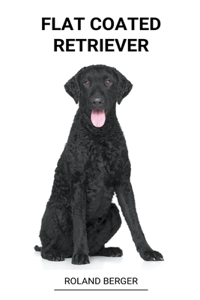 Flat coated retriever