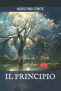 Il Principio